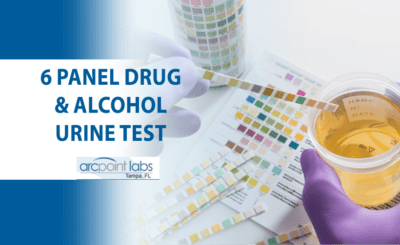 6 panel drug and alcohol urine test