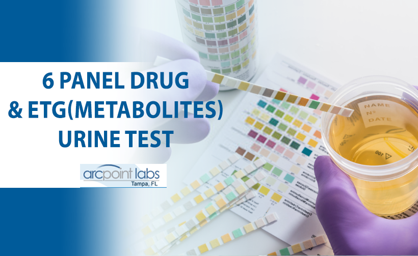 Urine Drug Testing - ARCpoint Labs of Tampa