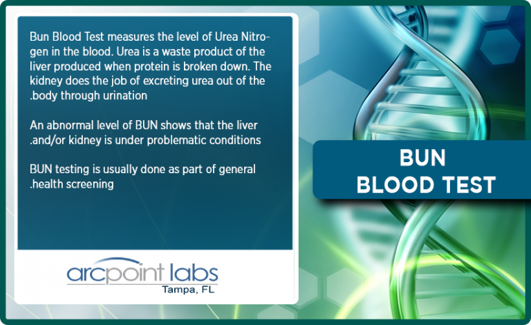 bun-blood-test-arcpoint-labs-of-tampa