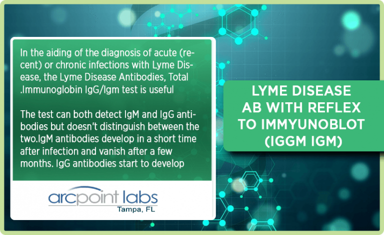 lyme disease ab with reflex to blot igg igm