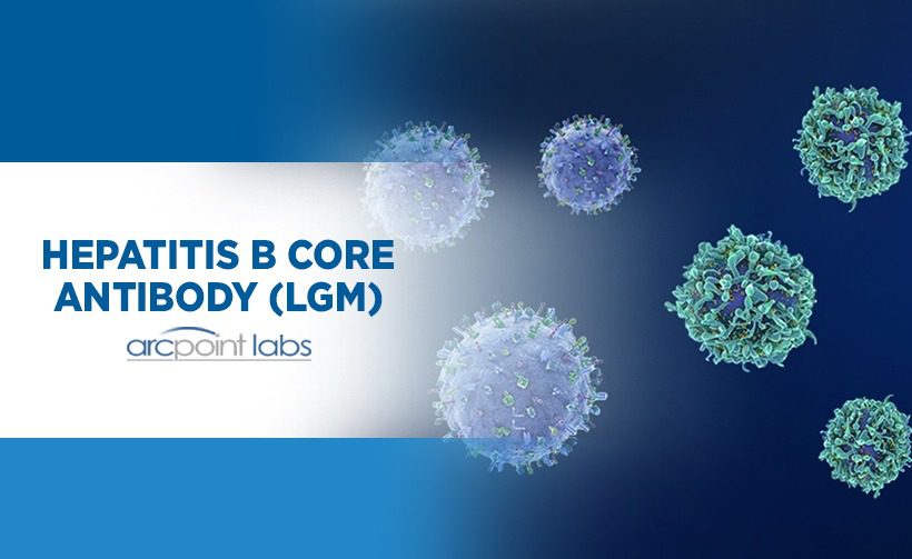 Hepatitis B Core Antibody Core Specific LgM ARCpoint Lab   HEPATITIS B CORE ANTIBODY LGM 1 